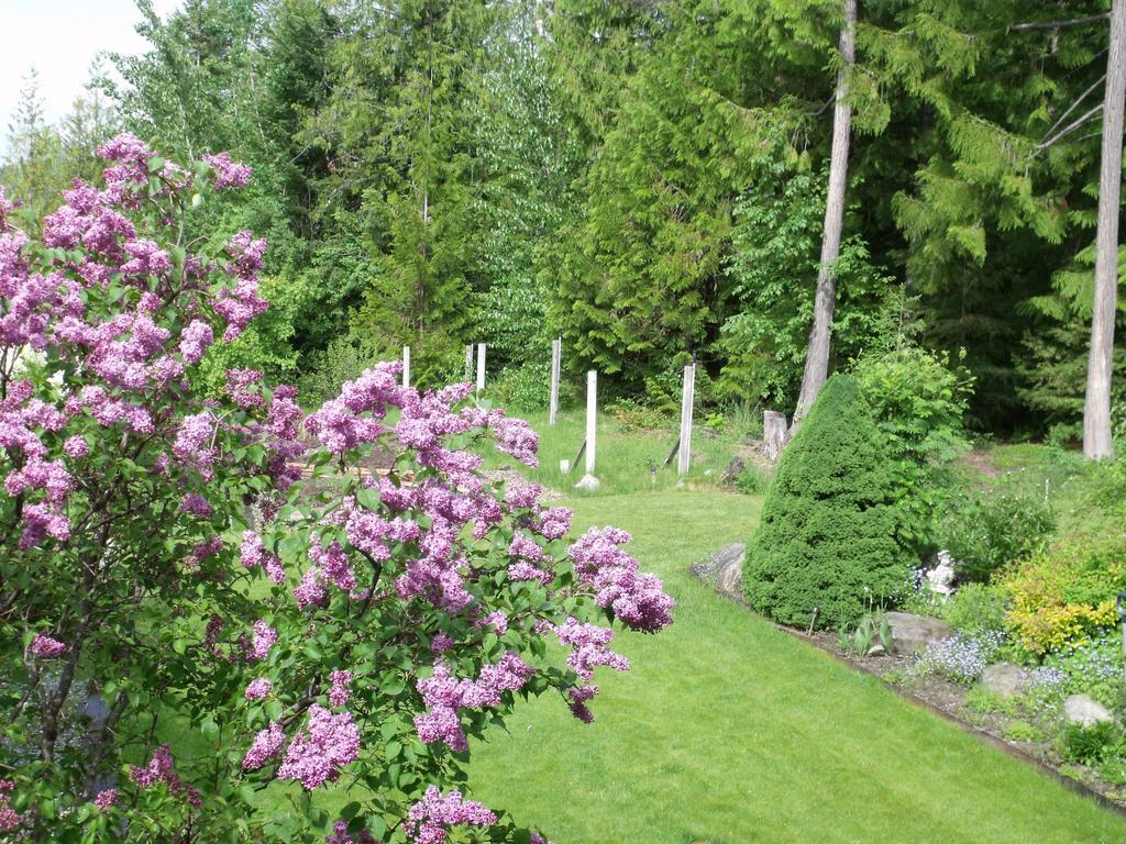 Silver Star Bed And Breakfast Vernon Pokoj fotografie